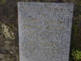 image of grave number 950179